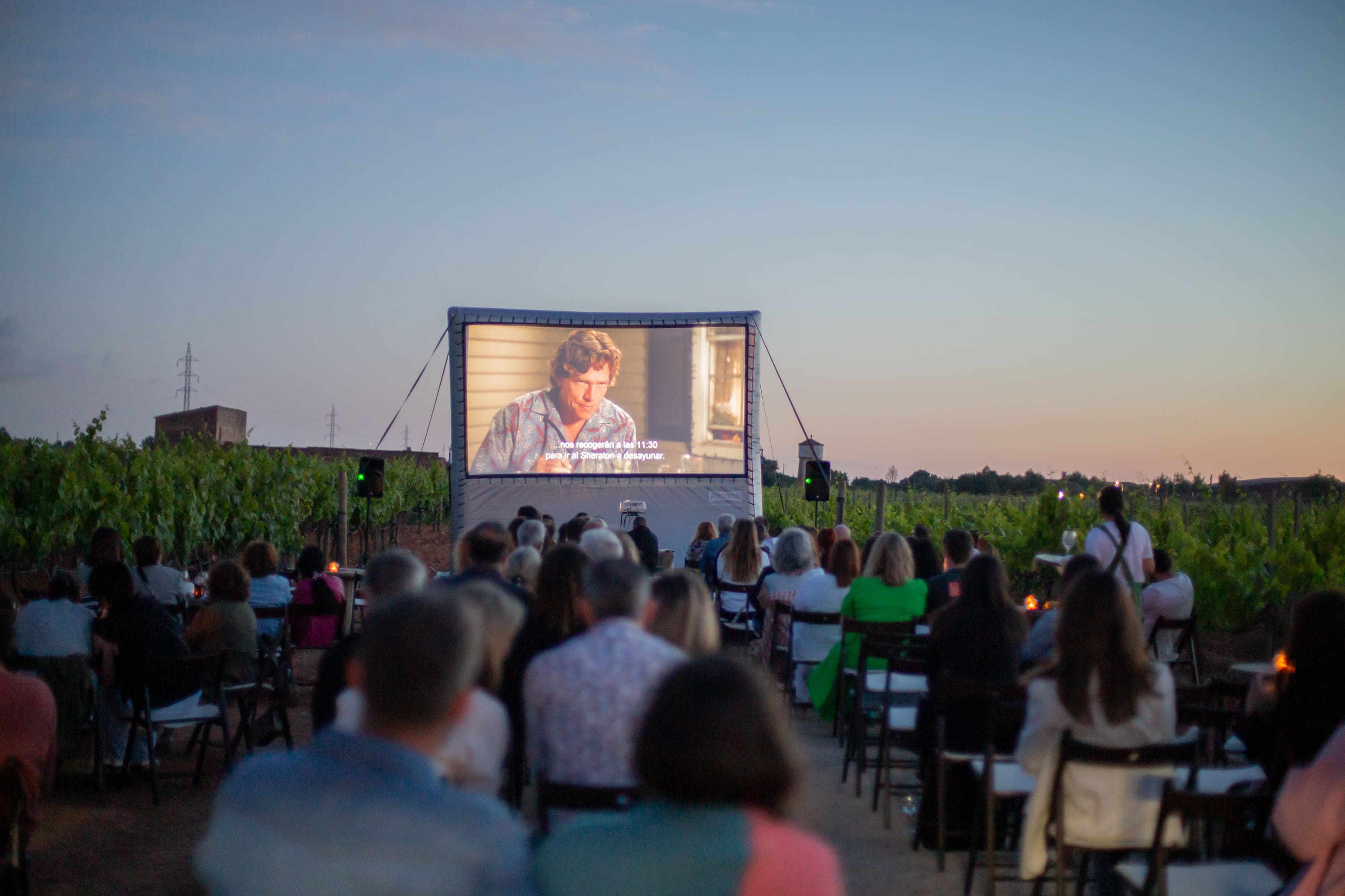 CINEMA_ENTRE_VINYES_CONOSCREENS_1